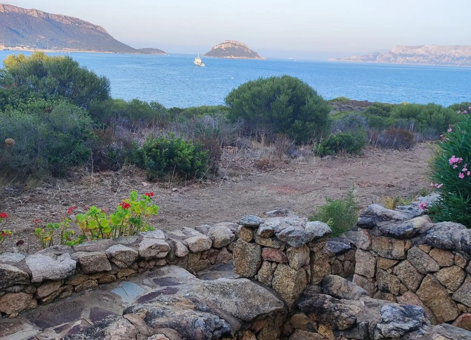 Holiday home Cala Delfino Villa Golfo Aranci